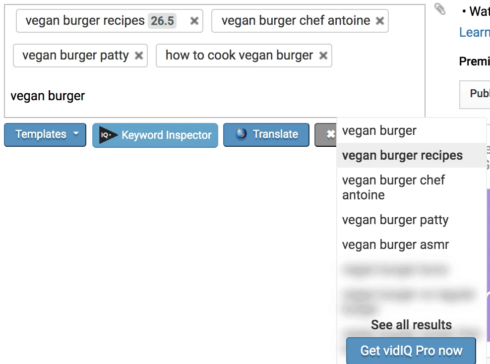 vidiq youtube tags